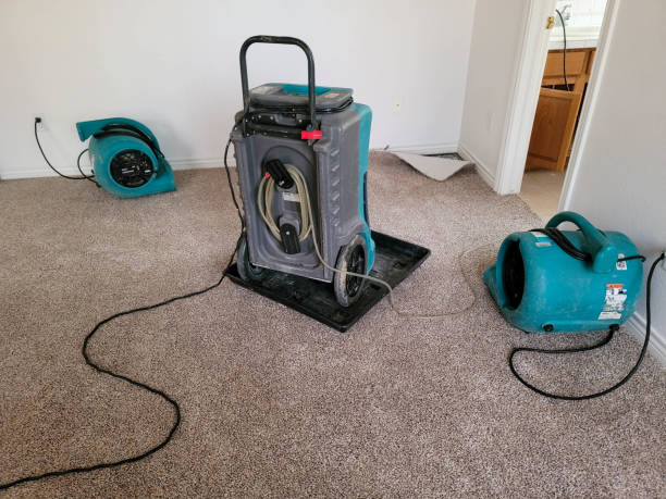 Best Flooded house restoration  in Richfield, MN