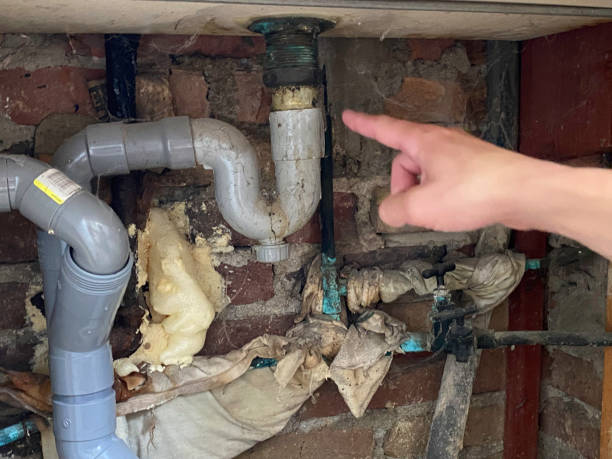 Best Water damage cleanup near me  in Richfield, MN
