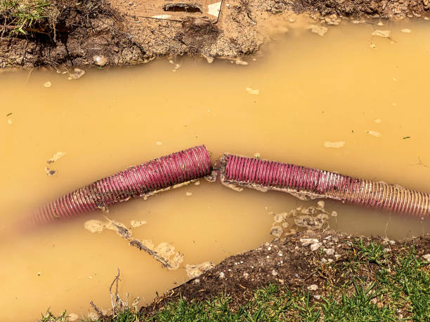 Best 24/7 water damage repair  in Richfield, MN