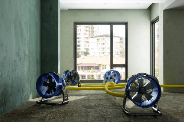 Best Water damage restoration cost  in Richfield, MN