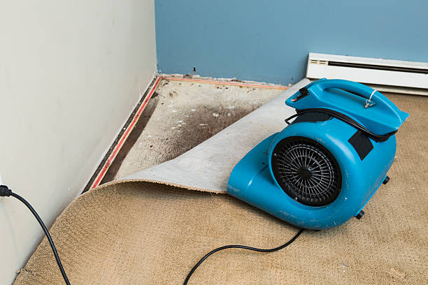  Richfield, MN Water damage restoration Pros